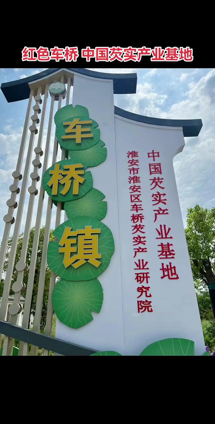 卢家滩手剥新鲜鸡头米 绿色食品 500g